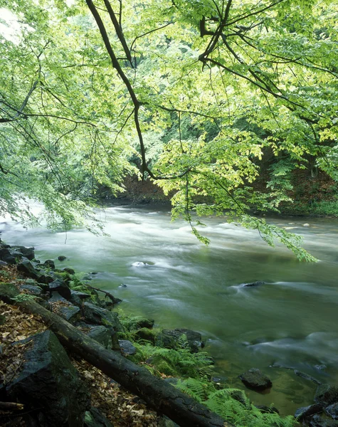 Metuje river — Stock Photo, Image