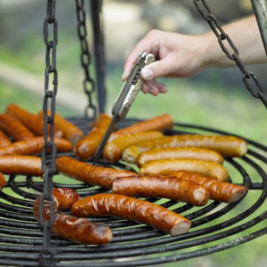 Grilled sausages clipart