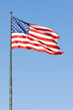 The USA flag clipart