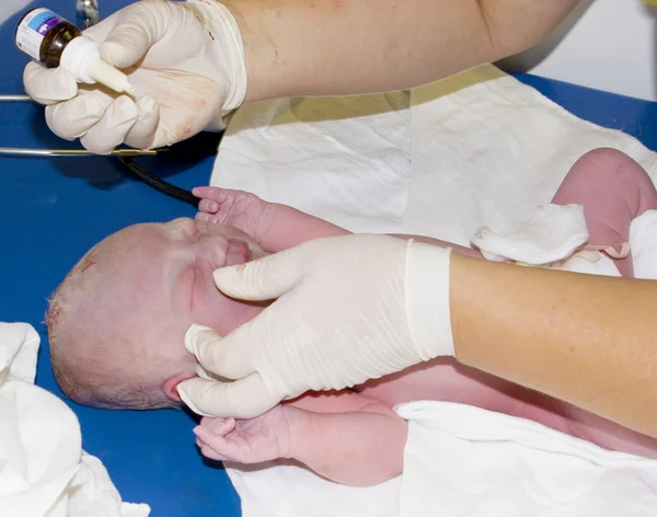 Новорожденный баб — стоковое фото