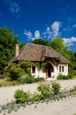 Garden of Chateau du Moulin clipart