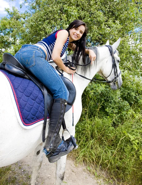 Equestrian — Stock Photo, Image