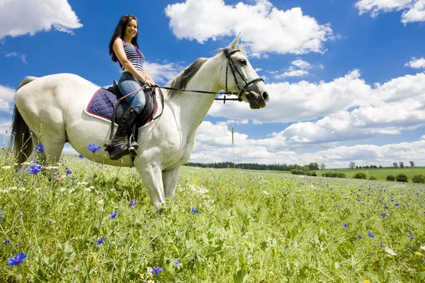Equestrian — Stock Photo, Image