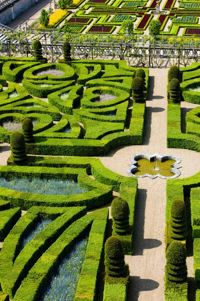 Villandry Castle'nın Bahçe — Stok fotoğraf