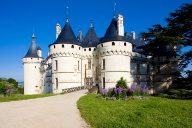 Chaumont-sur-Loire Castle clipart