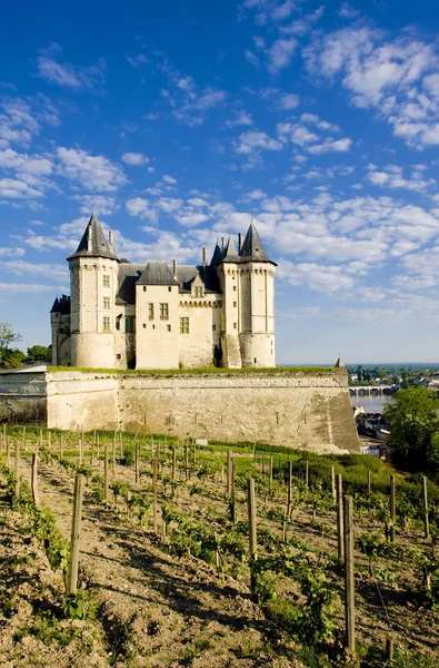 Chateau de Saumur — Zdjęcie stockowe