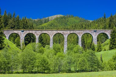 Railway viaduct near Telgart clipart