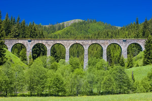 Railway viaduct near Telgart — Stock Photo, Image