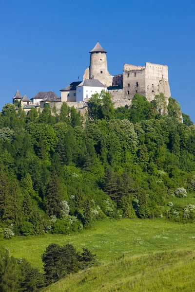 Castillo de Stara Lubovna —  Fotos de Stock