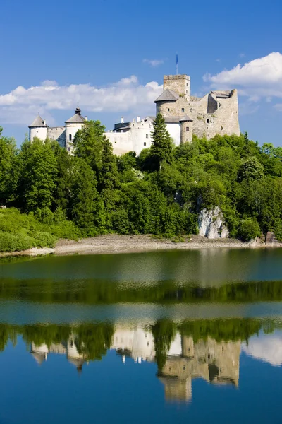 Нєдзица замок — стокове фото