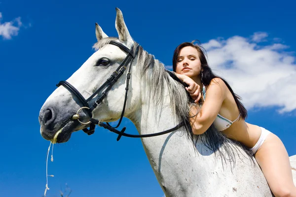 Jeździectwo konne — Zdjęcie stockowe
