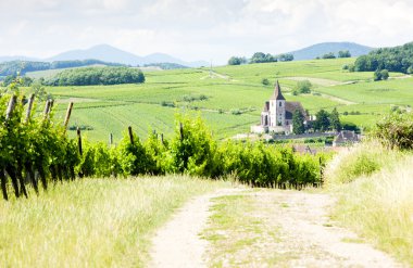 Hunawihr ile üzüm bağları, alsace, Fransa