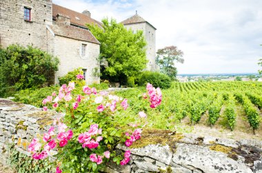 Gevrey-chambertin Kalesi