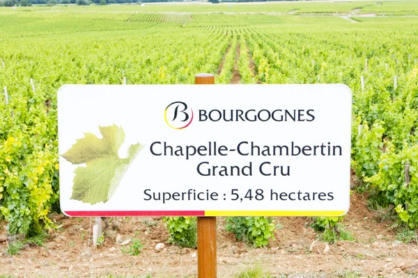 Kebun anggur Grand cru dari Chapelle-Chambertin — Stok Foto