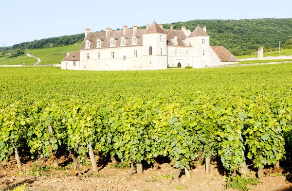 Clos Blanc De Vougeot Castle — Stock Photo, Image