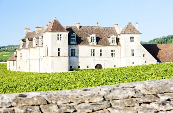 Château de Clos Blanc De Vougeot — Photo