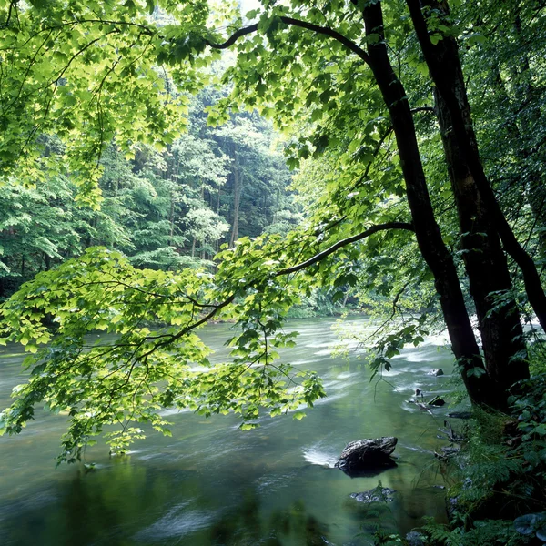 Metuje ποταμός — Φωτογραφία Αρχείου