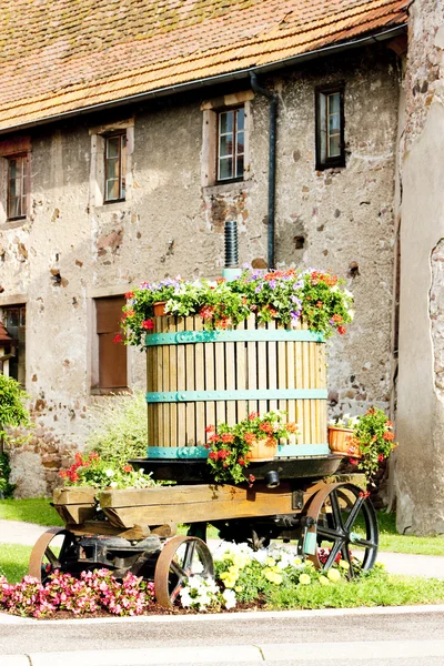 Wine-press, Chatenois, Эльзас, Франция — стоковое фото
