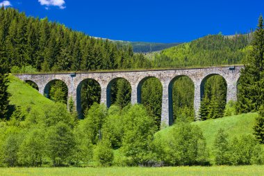 Railway viaduct clipart