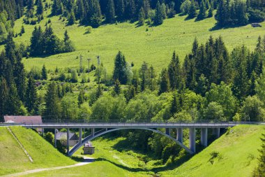 Bridge, Dedinky, Slovakia clipart