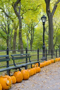 Autumnal Central Park clipart