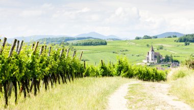 Hunawihr with vineyards, Alsace, France clipart