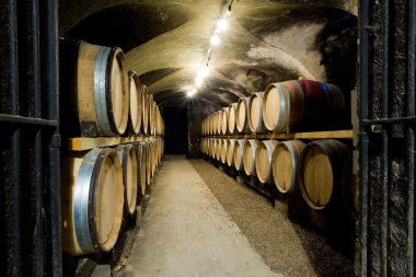 Wine cellar in Burgundy clipart