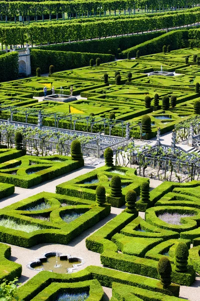 Villandry Castle's garden — Stock Photo, Image