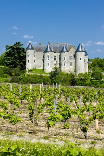 Château de Luynes — Photo