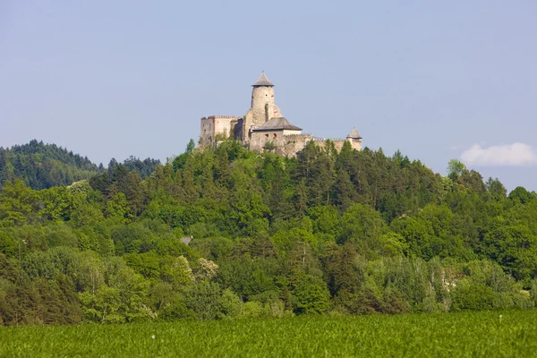 Замок Стара-Любовна — стоковое фото