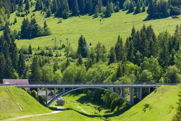 Overbruggen, dedinky, Slowakije — Stockfoto