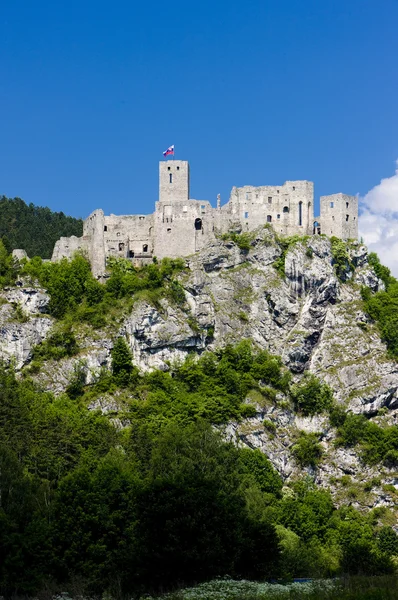 Castelo de Strecno — Fotografia de Stock