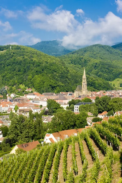 Thann, Alsace — Stok fotoğraf