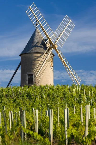 stock image Burgundy, France
