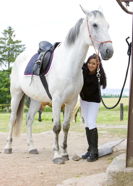 Equestrian with horse — Stock Photo, Image