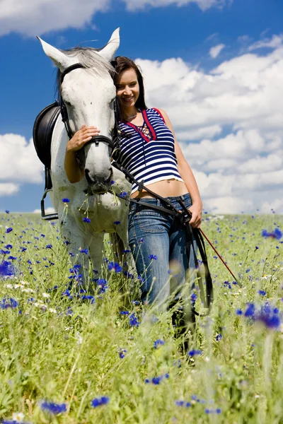 Equestre com um cavalo no prado — Fotografia de Stock