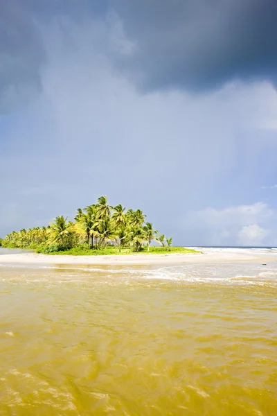 Cocos Bay; Trinidad — Stockfoto