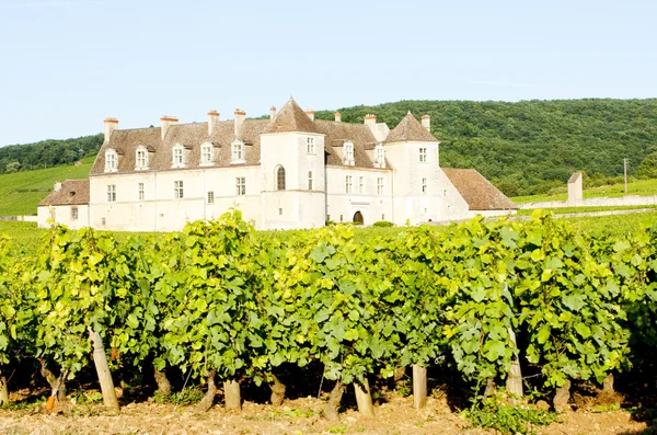 Clos vougeot kasteel blanc de, Bourgondië, Frankrijk — Stockfoto