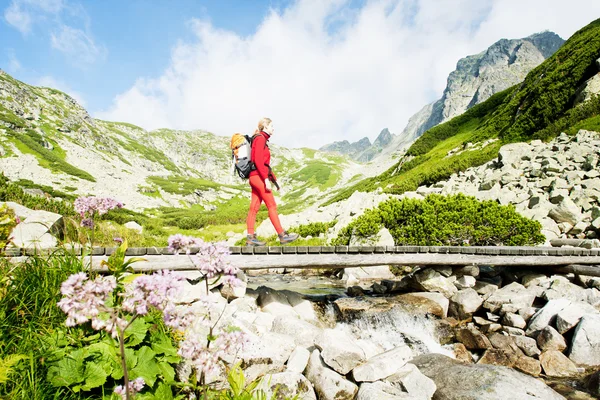 高タトラ山脈に女性バックパッカー — ストック写真