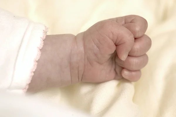 Tangan bayi. — Stok Foto