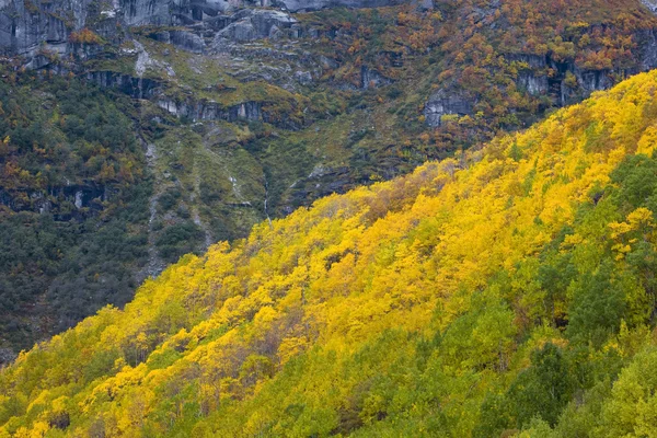Národní park Jostedalsbreen — Stock fotografie