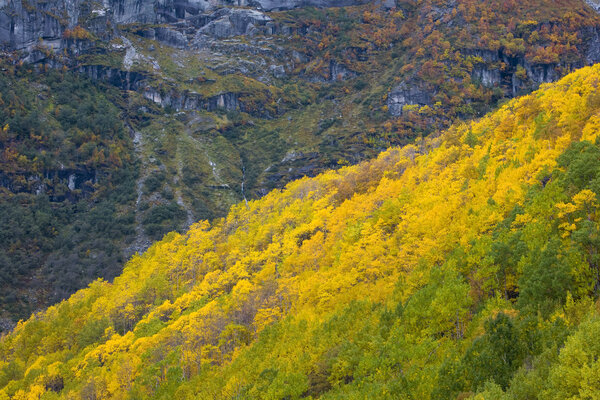 Landscape near Melkevollbreen Glacier, Jostedalsbreen National Park, near Brigsdal, Norway