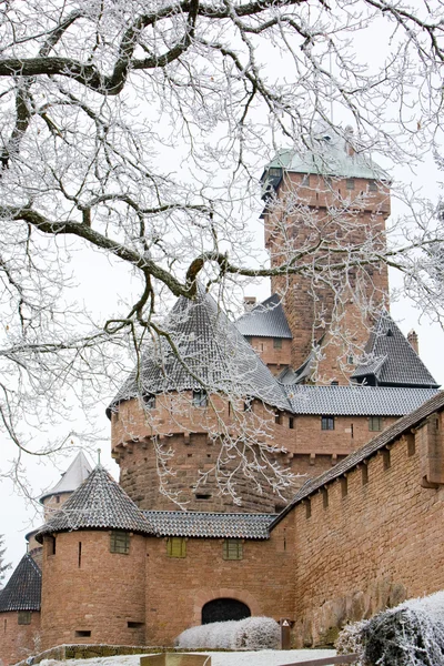 Haut-koenigsbourg castle — Stockfoto