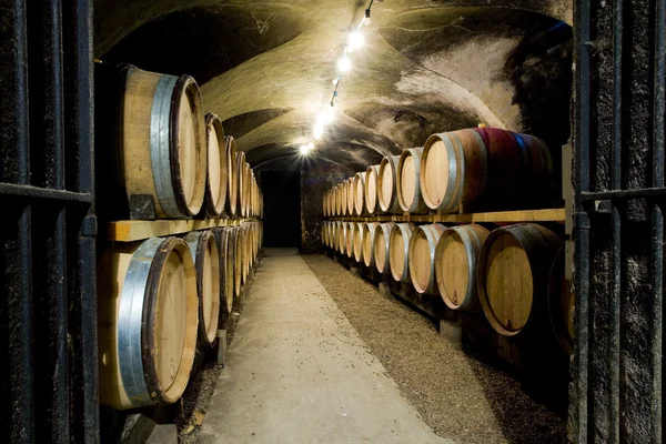 Weinkeller in Burgund — Stockfoto