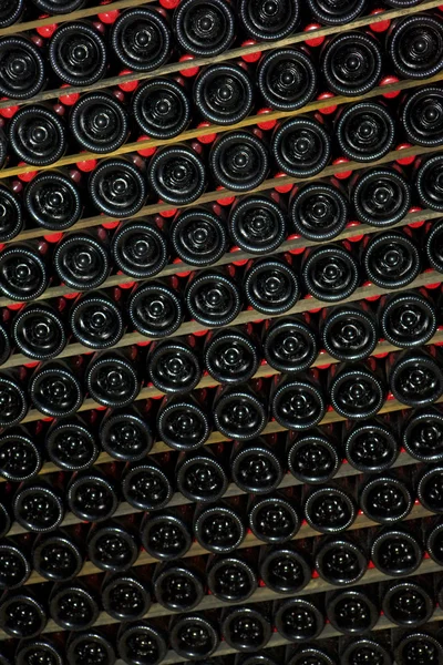 Bodega Champagne — Foto de Stock