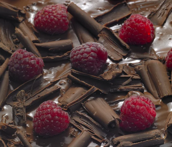 Chocolate f — Stock Photo, Image