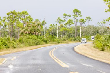 yol everglades ulusal park, florida, ABD