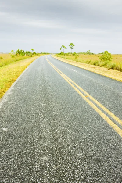 Road in Everglades National Park, Florida, USA — Stock Photo, Image