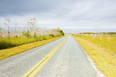 yol everglades ulusal park, florida, ABD