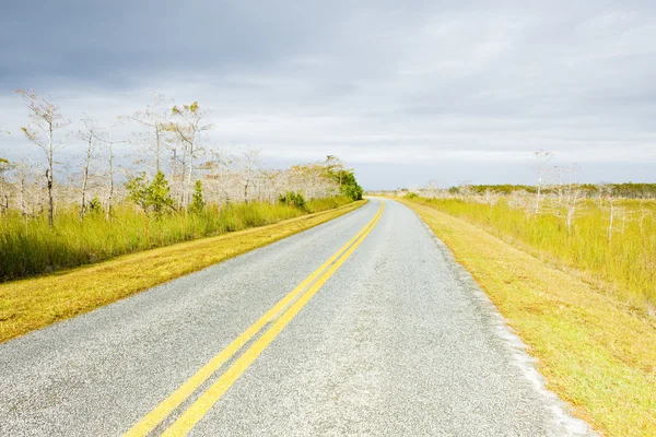 Дорога в национальном парке Эверфедс, Флорида, США — стоковое фото